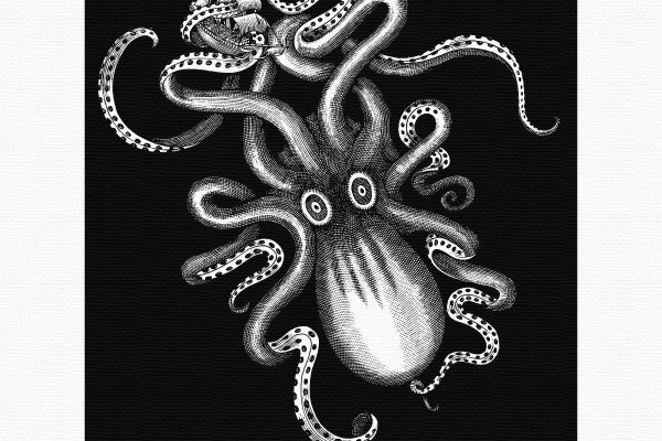 Kraken супернет рынок