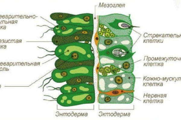 Кракен маркетплейс ссылка krakenat2krnkrnk com